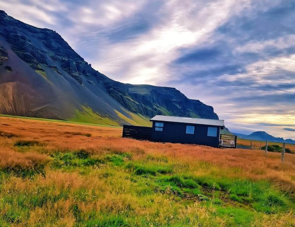 green-farm-stay-cabin-daytime